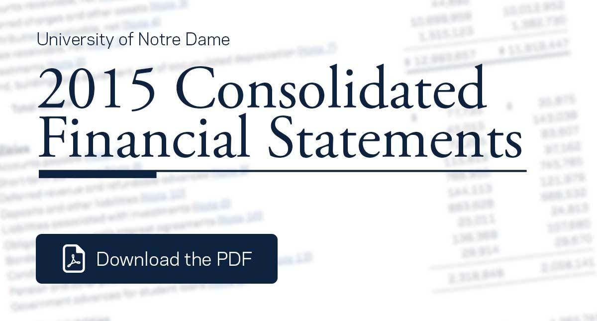 2015 Consolidated Financial Statements